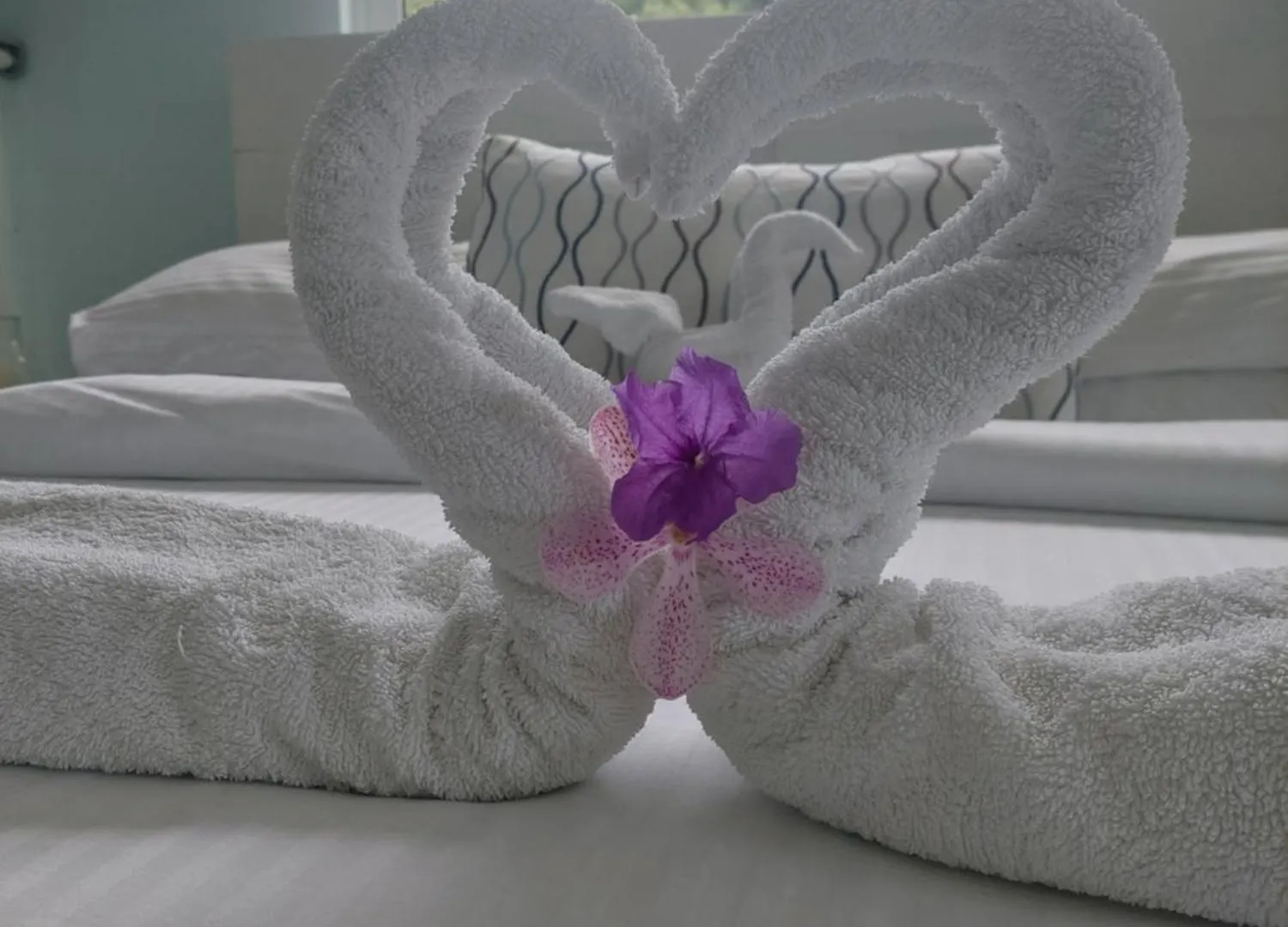 Reef Hills Residence Luxury Villa Anse aux Pins Seychellerna